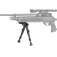 Gamo Bipiede Albatilbe
