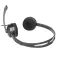 Natec Casque avec micro Canary Go