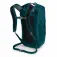 Osprey Transporter Roll Top 30L backpack