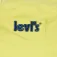 Levi´s ® Lan Poster Logo hinkhatt