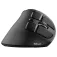 Trust Mouse ergonomico wireless VOXX