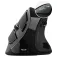 Trust VOXX Wireless Ergonomic Mouse