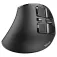 Trust VOXX Wireless Ergonomic Mouse