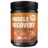 Gold Nutrition 900g Chocolate Muscle Recovery