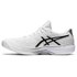 Asics Kengät Solution Speed FF 2 Clay