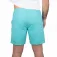 Varlion Pro Team shorts
