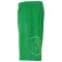 Kempa Шорты Player Reversible