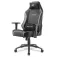 Sharkoon Sedia gaming SGS20