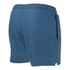 Nike Essential Lap 5´´ Volley Swimming Shorts