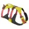 Ruffwear Arnês para cães Flagline™