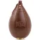 Everlast 1910 Speedbag