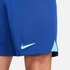 Nike Shorts Chelsea FC Dri Fit Stadium 22/23