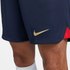 Nike Accueil FC Barcelona Dri Fit Stadium 22/23 Shorts
