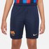 Nike Maison FC Barcelona Dri Fit Stadium 22/23 Shorts Junior