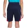 Nike FC Barcelona 22/23 Dri Fit Strike junior shorts