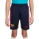 Nike FC Barcelona 22/23 Dri Fit Strike junior shorts