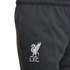 Nike Pantalones Liverpool FC Dri Fit Academy Pro 22/23 Junior