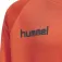 Hummel Dessuadora Promo Poly