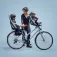 Thule Yepp 2 Maxi Børnecykelsæde