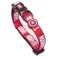 Marvel Marvel dog collar
