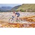 Vittoria Barzo Trail Antracita Tubeless 29´´ x 2.10 MTB tyre