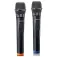 Lenco MCW-020 Microphone 2 units