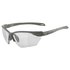 Alpina snow Twist Five S HR V Photochromic Sunglasses