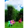 Garbar Conjunto de Mesa e Cadeiras Infantis Jan