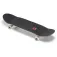 Hydroponic Pool Co 8.75´´ skateboard
