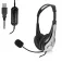 Ewent Auriculares EW3565