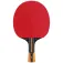 Dunlop Evolution 1000 탁구 라켓