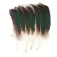 Baetis Mcginty Quill Feather