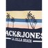 Jack & jones Sweat à Capuche Malibu Branding