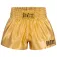 Benlee Thaibox trunks
