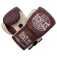 Benlee Warren Lederboxhandschuhe