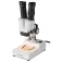Bresser Microscope professionnel Biorit ICD 20x