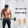 Fed Dumbbell 25kg