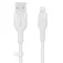 Belkin Cable CAA008BT2MWH 2 m