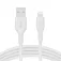 Belkin CAA008BT2MWH 2 m cable
