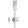 Belkin Cable CAA010BT2MWH 2 m