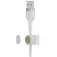 Belkin CAA010BT3MWH 3 m cable