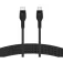 Belkin CAB011BT2MBK 2 m USB-C cable