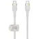 Belkin CAB011BT2MWH 2 m USB-C cable