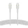 Belkin CAB011BT2MWH 2 m USB-C cable