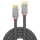 Lindy Como Line 2 m DisplayPort cable