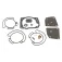 Sierra Carburator Kit 47-7247