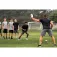 Sklz Agilitystige