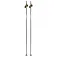 Swix Bastons Dynamic D3