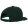 Flexfit Classic 캡