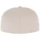 Flexfit Wooly Combed cap